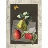 L'Ensoleillade - Tea Towel Butterfly With Pears