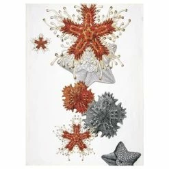 Napking - Linen Tea Towel Asterias Pattern 2